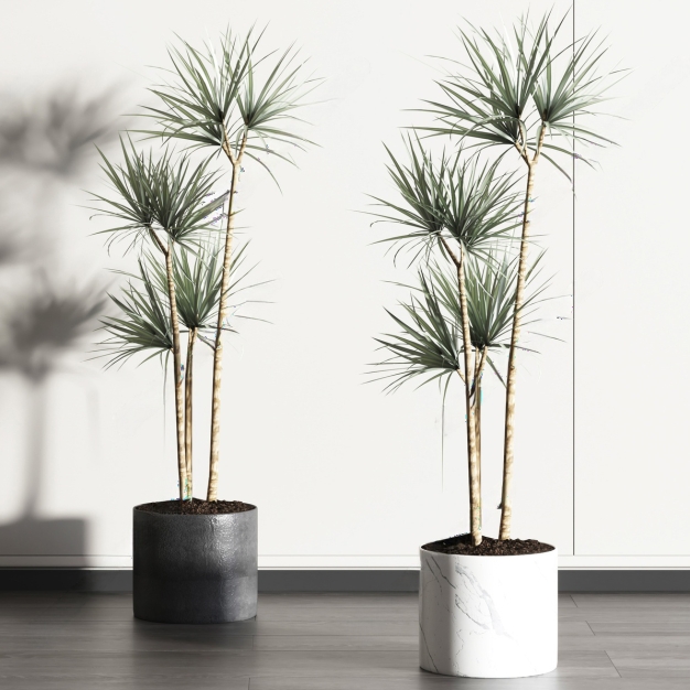 植物盆栽3D模型