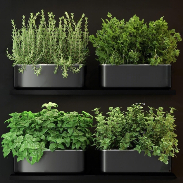 现代绿植盆栽盆景组合3D模型