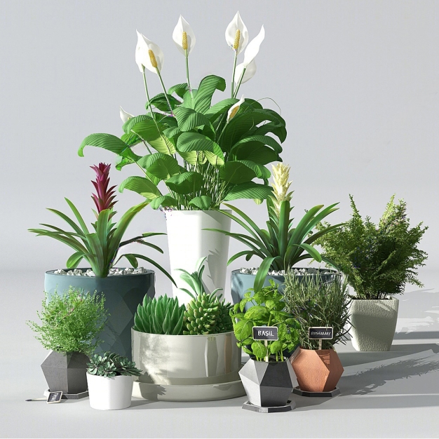 植物盆栽组合3D模型