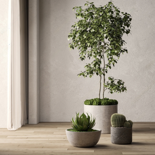 现代绿植盆栽盆景组合3D模型