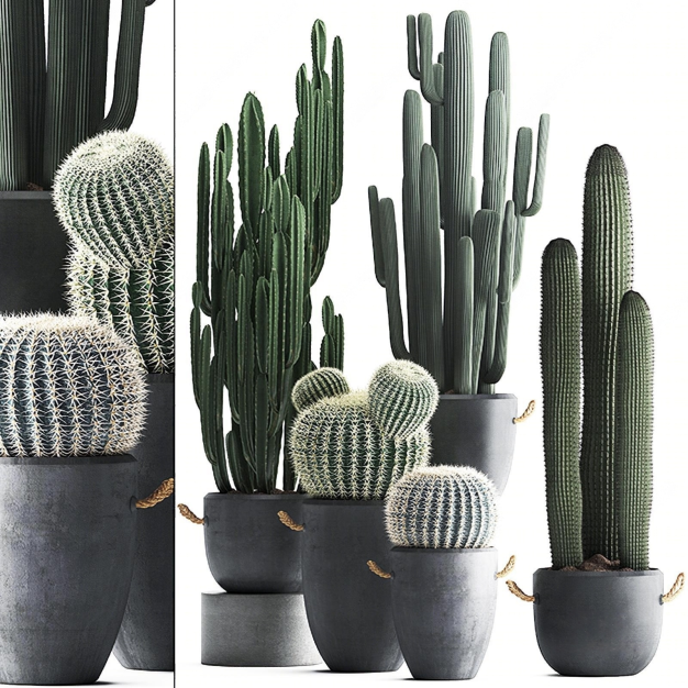 植物盆栽组合3D模型