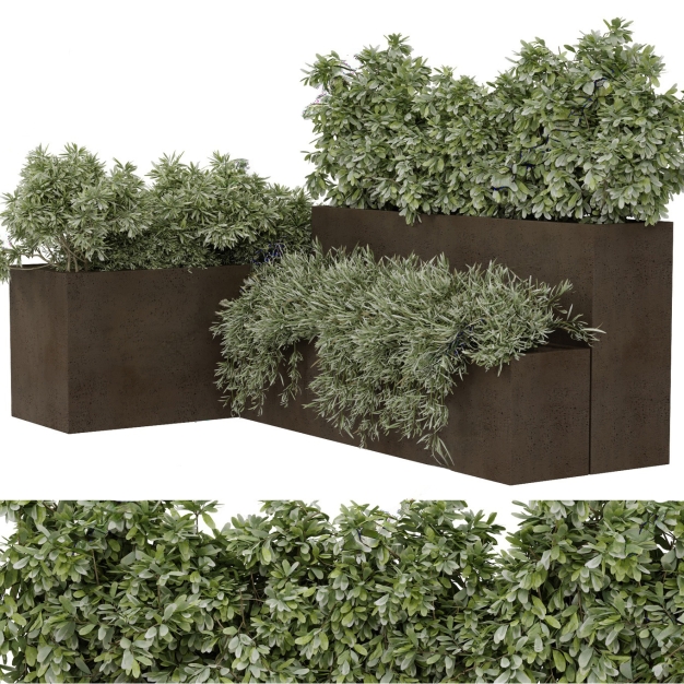 现代绿植花箱盆栽3D模型