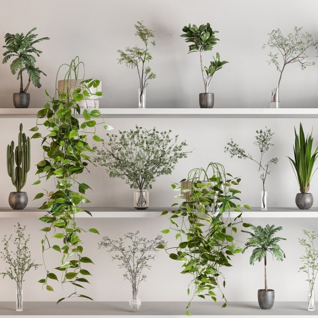 植物盆栽组合3D模型