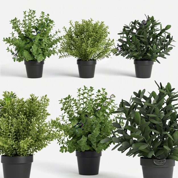 植物盆栽组合3D模型