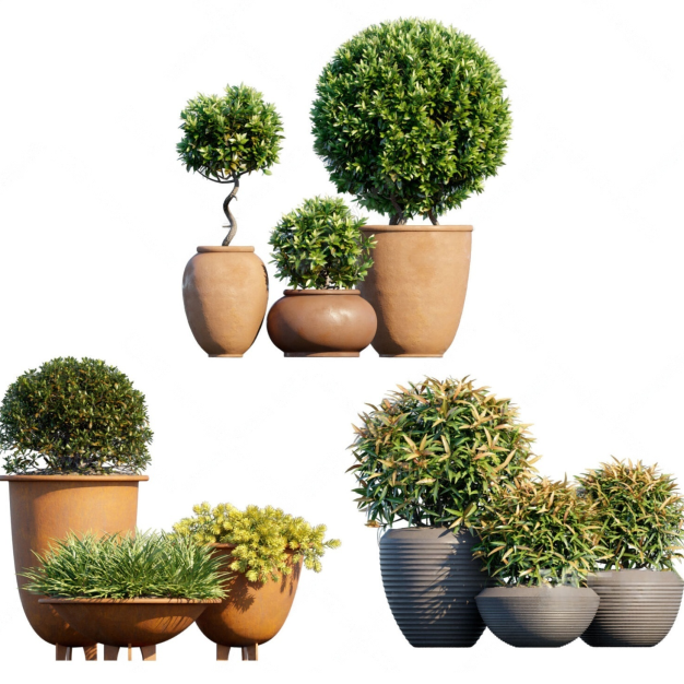 植物球盆栽组合3D模型
