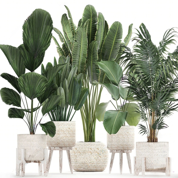现代绿植盆栽盆景组合3D模型