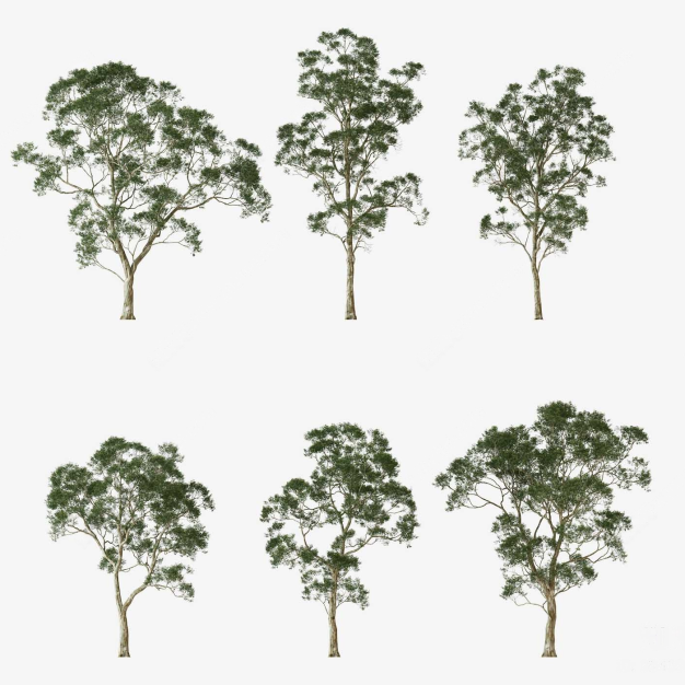  现代树木组合3D模型