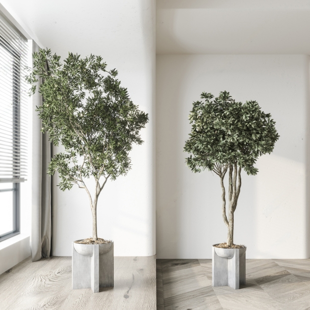 现代绿植盆栽盆景组合3D模型
