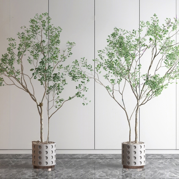 植物盆栽组合3D模型