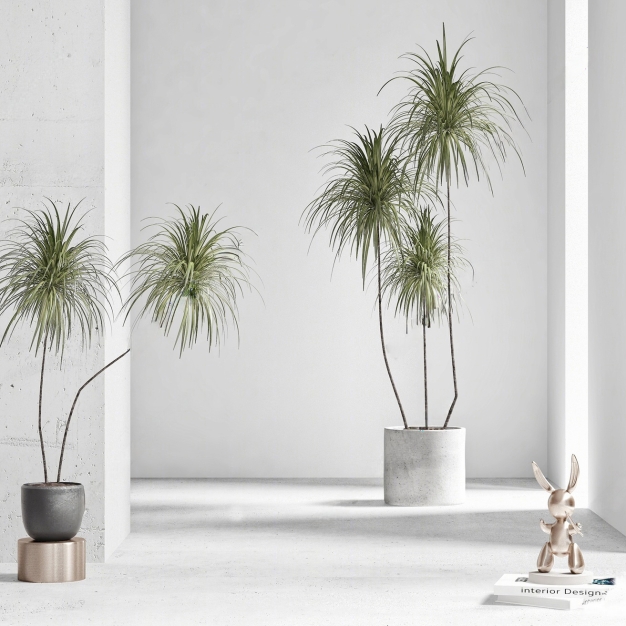 植物盆栽组合3D模型