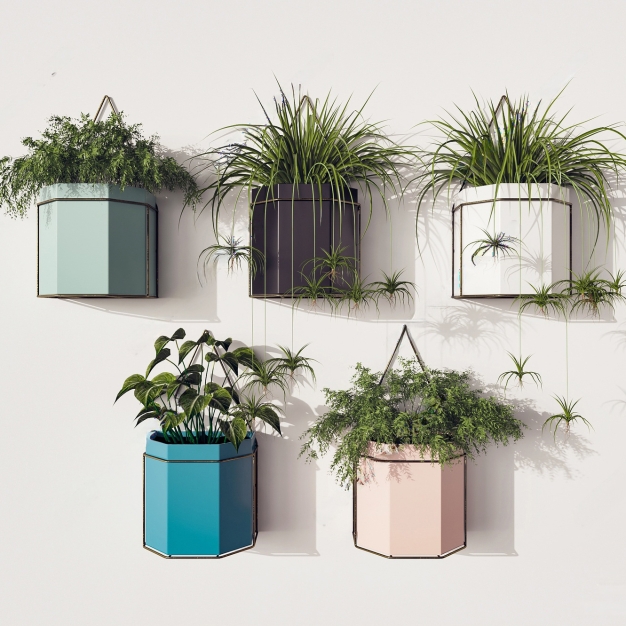 挂墙绿植盆栽3D模型