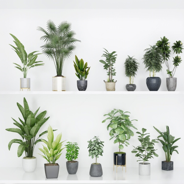 现代植物盆栽组合3D模型