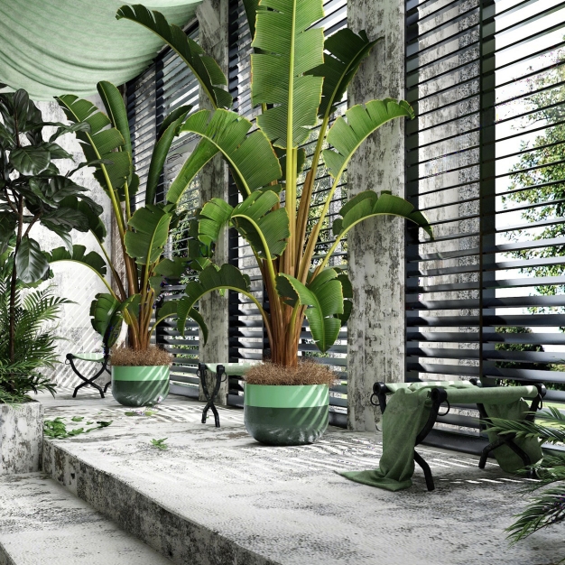 植物盆栽组合3D模型