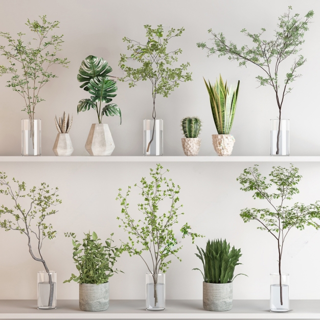 植物盆栽组合3D模型