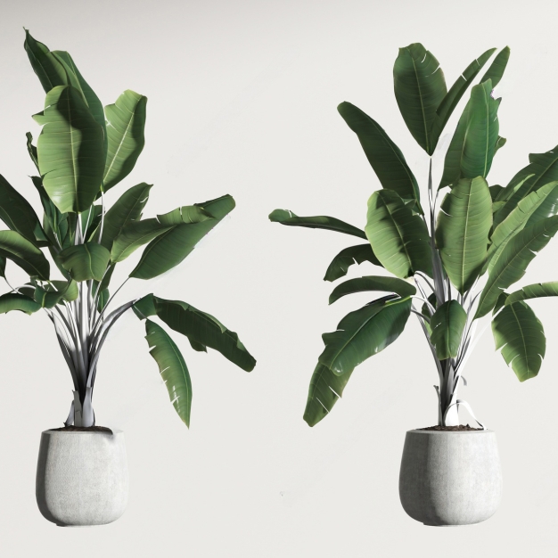 现代植物盆栽组合3D模型