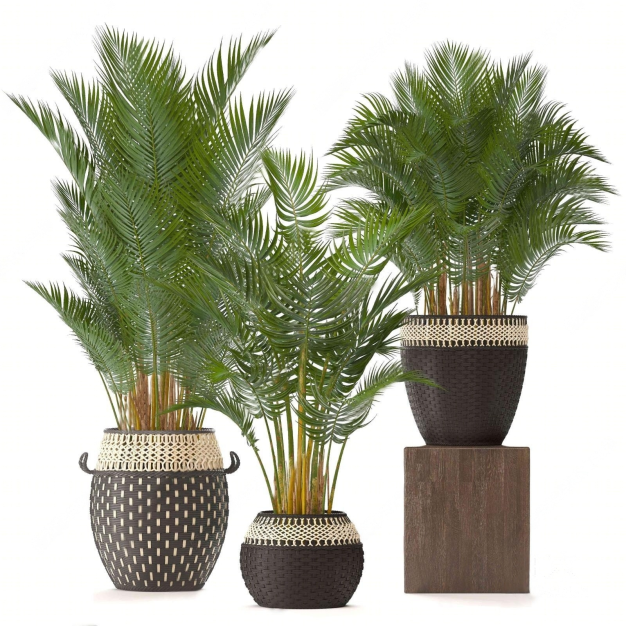  现代绿植盆栽组合3D模型