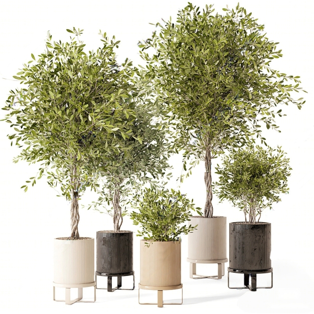 植物盆栽组合3D模型