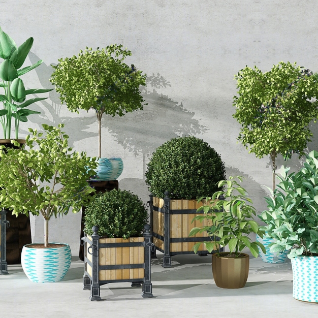 现代植物盆栽组合3D模型