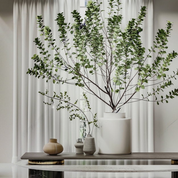 植物盆栽3D模型