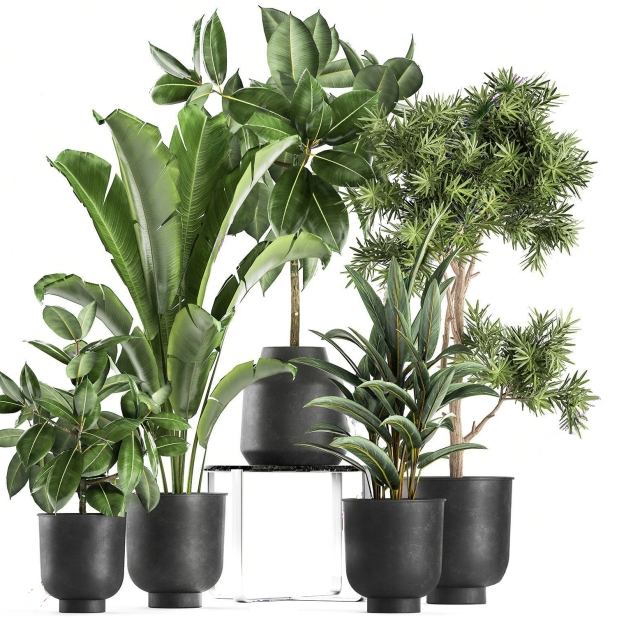 现代绿植盆栽盆景组合3D模型