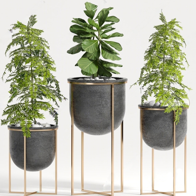 现代绿植盆栽组合3D模型
