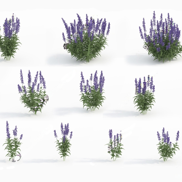 花草植物组合3D模型