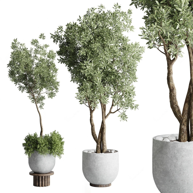 植物盆栽组合3D模型