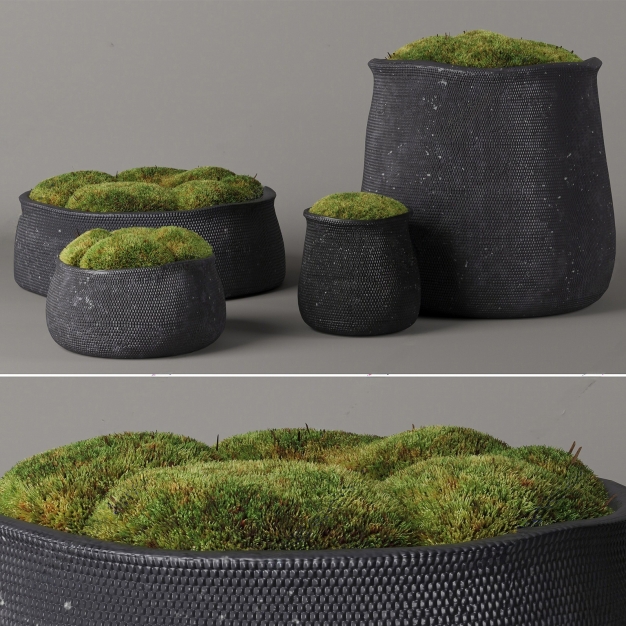 苔藓盆栽组合3D模型