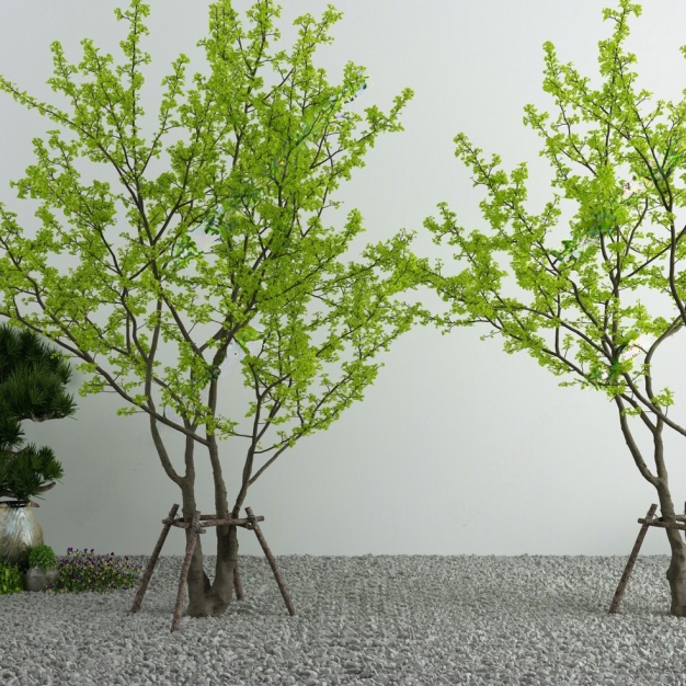 植物 树木3D模型
