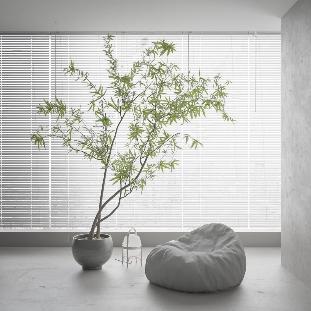  现代盆栽 植物3D模型