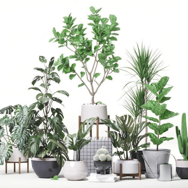  现代绿植盆栽组合3D模型