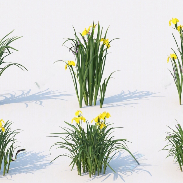 植物 花卉 盆栽3D模型