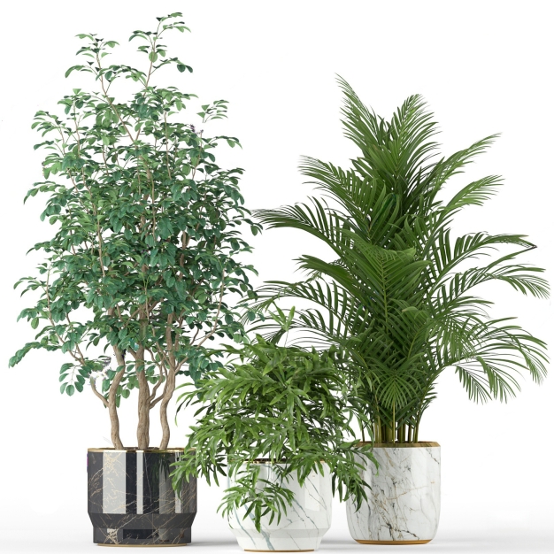 植物盆栽组合3D模型