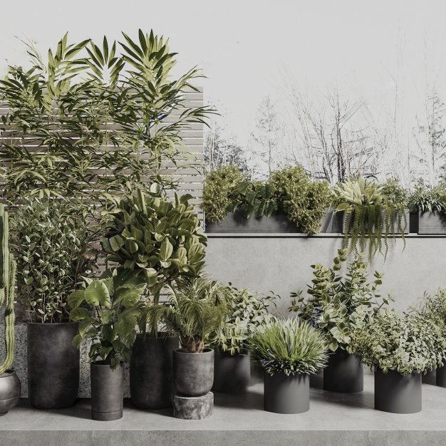 植物盆栽组合3D模型
