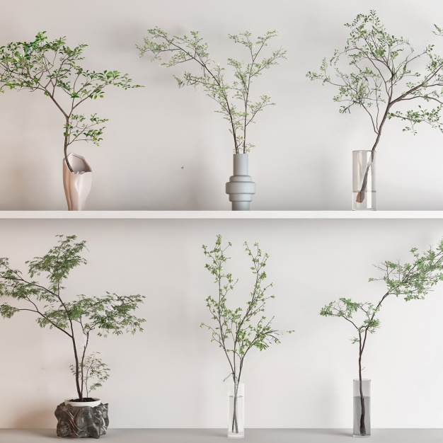 植物组合3D模型