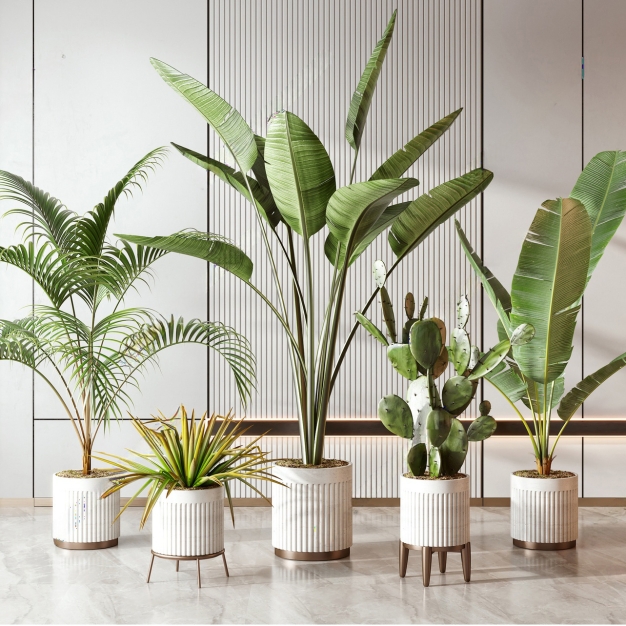 现代绿植盆栽盆景组合3D模型