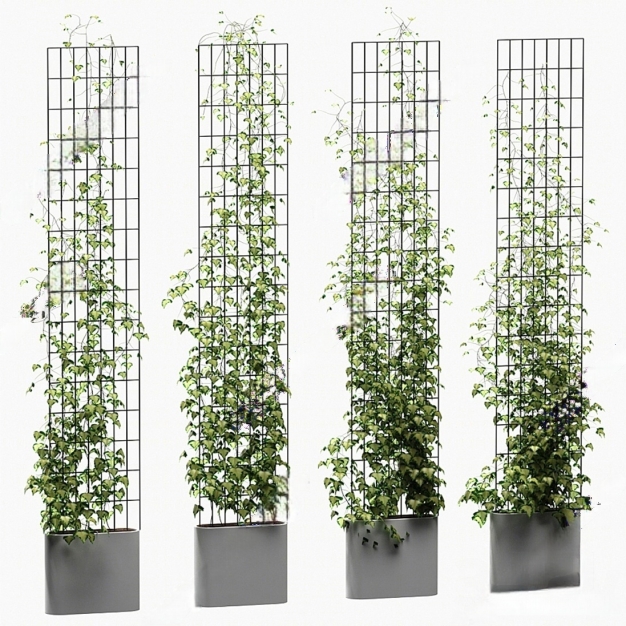 植物藤曼组合3D模型