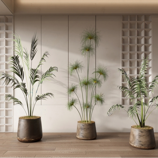 现代植物盆栽组合3D模型
