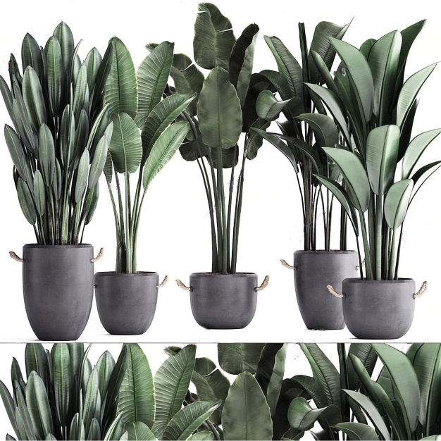 现代绿植盆栽组合3D模型