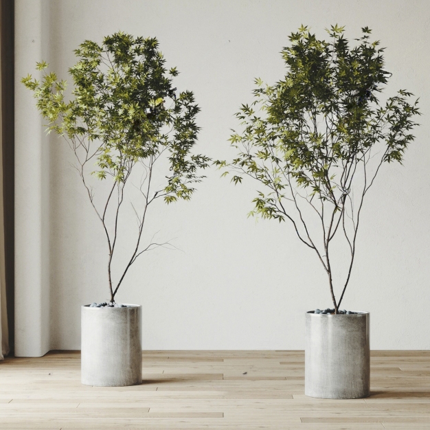  现代绿植盆栽组合3D模型