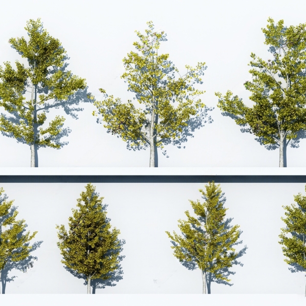 树木组合3D模型