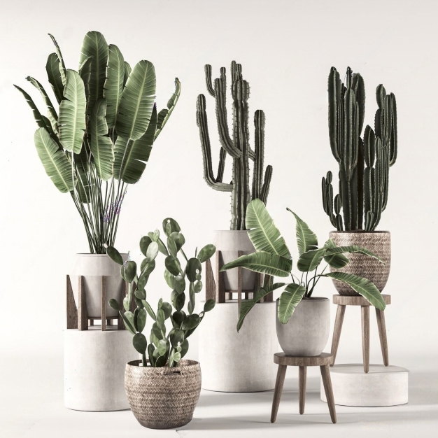 植物盆栽组合3D模型