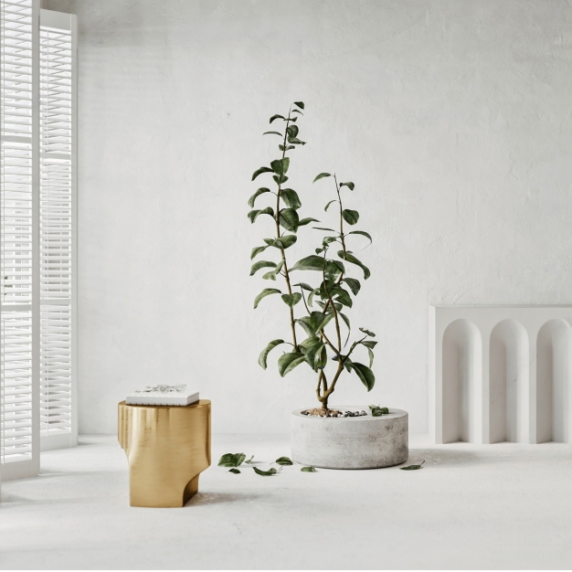 植物盆栽3D模型