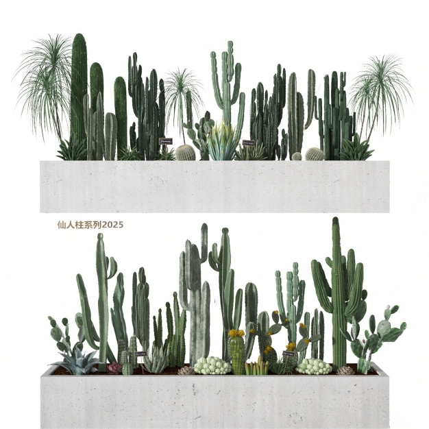 仙人掌植物盆栽3D模型