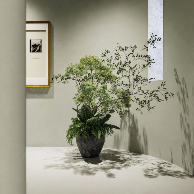 植物盆栽3D模型