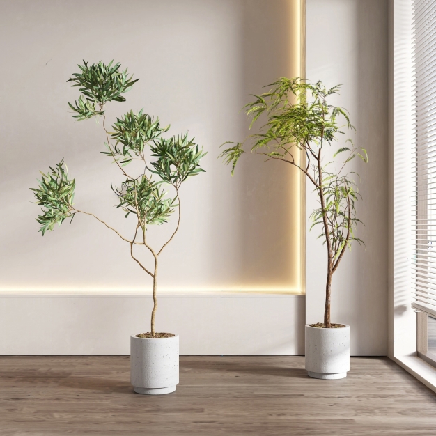 现代植物盆栽组合3D模型