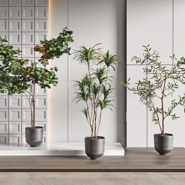 植物盆栽组合3D模型