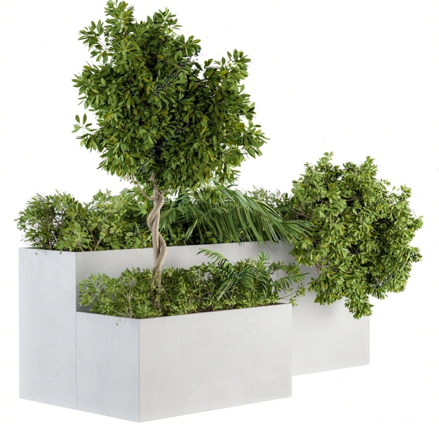 花坛 植物盆栽3D模型