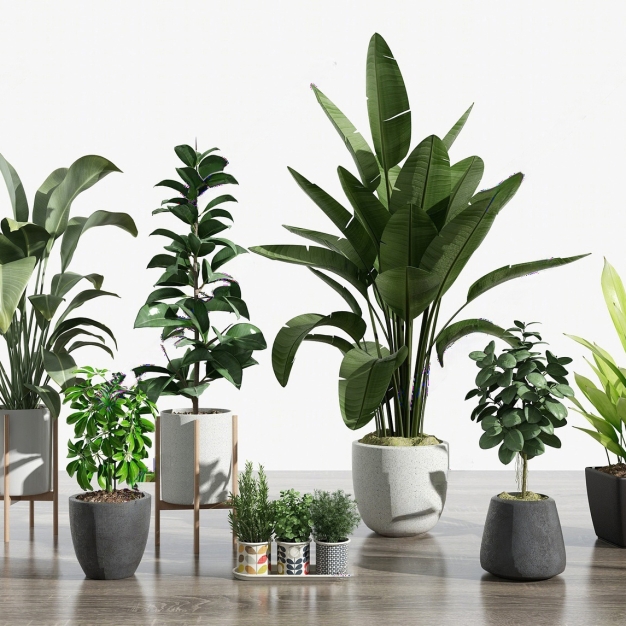 现代绿植盆栽组合3D模型