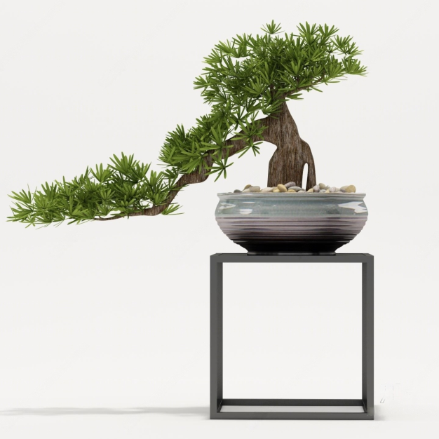 新中式松树植物盆栽3D模型